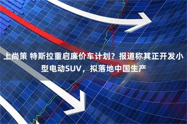 上尚策 特斯拉重启廉价车计划？报道称其正开发小型电动SUV，拟落地中国生产